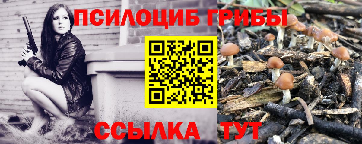 Саяногорск  наркотики  Вход с VPN  Псилоцибиновые грибы GOLDEN TEACHER  Галлюциногенные грибы Cubensis 