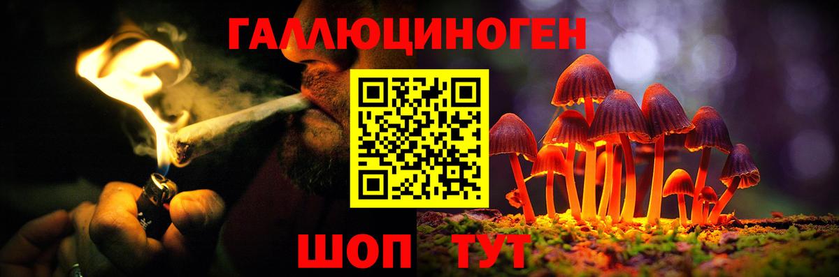 Псилоцибиновые грибы мухоморы Саяногорск